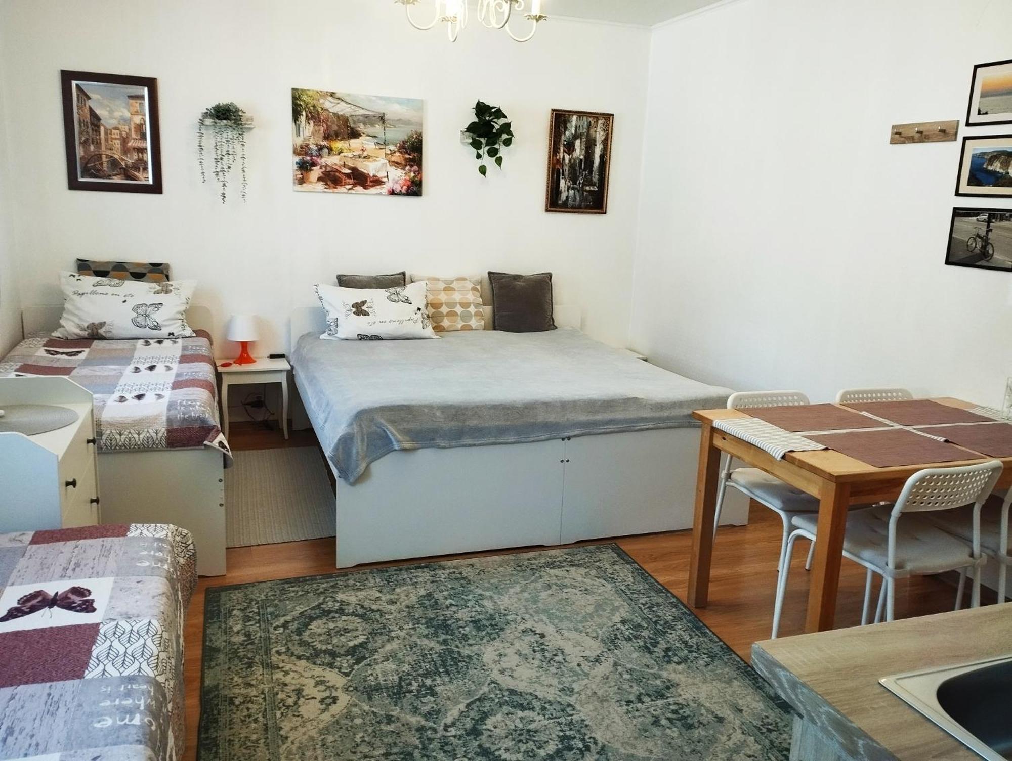 Eco-Lux Apart With Free Bicycles End Free Parking ลูบลิยานา ภายนอก รูปภาพ